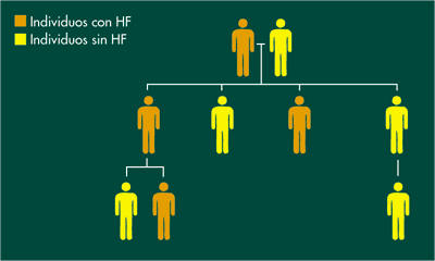 Herencia Hf Fundacion Hipercolesterolemia Familiar